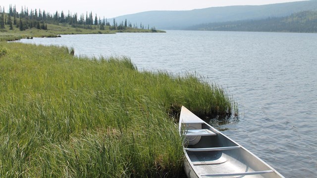 A canoe noses into the bank along a river.