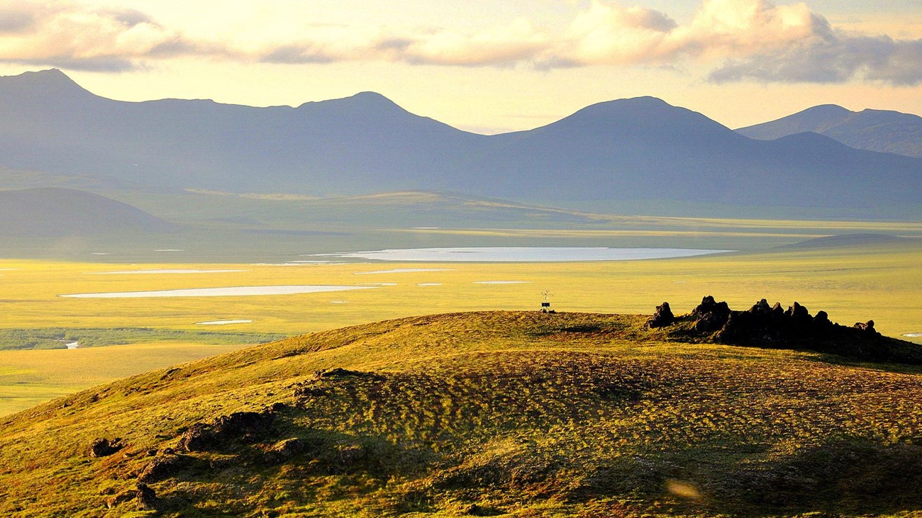 An Arctic landscape bathed in sunshine.