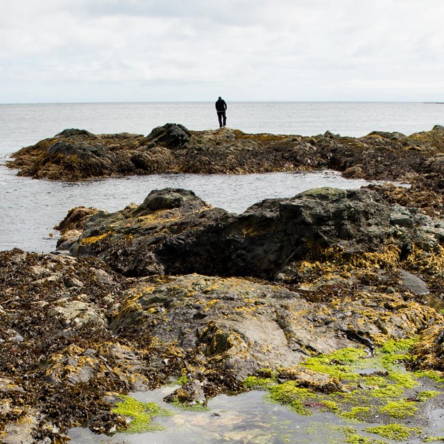 a person stands on a wide jetti of rocks reaching into the ocean.