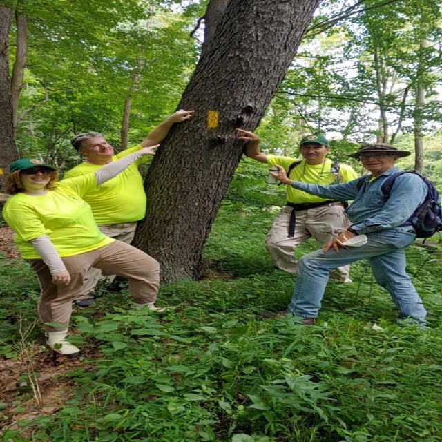 A group of trail crew volunteers.