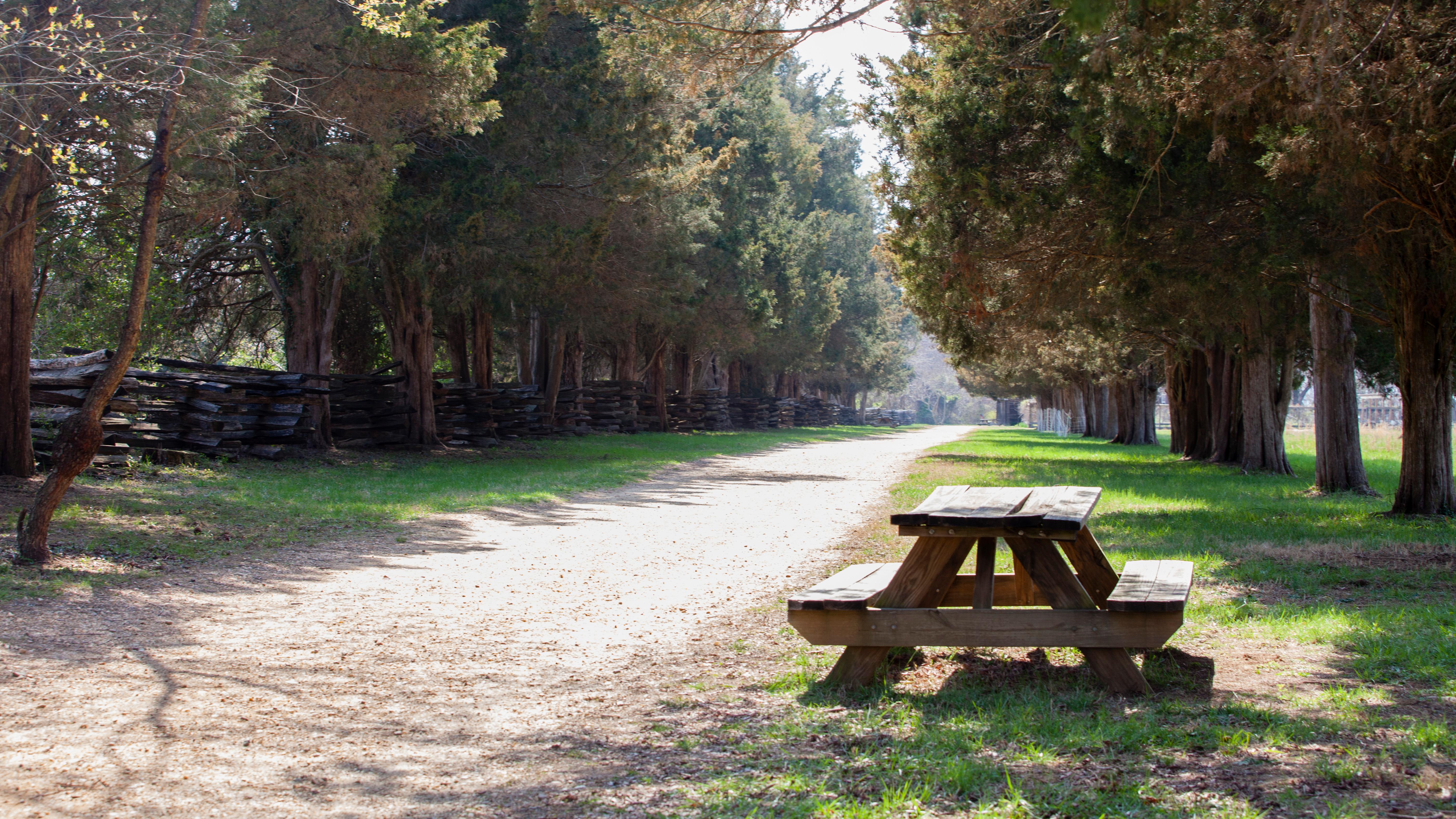 A wooden picnic table stands on a grassy patch behind a dirt trail lined with trees 