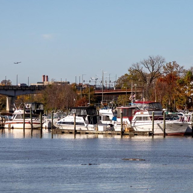 A group of boats is on a river with trees in the background.