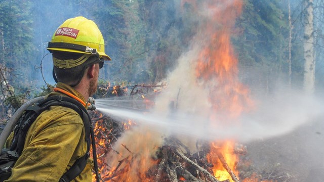 Person in yellow fire gear aiming water at burning pile of greenery.