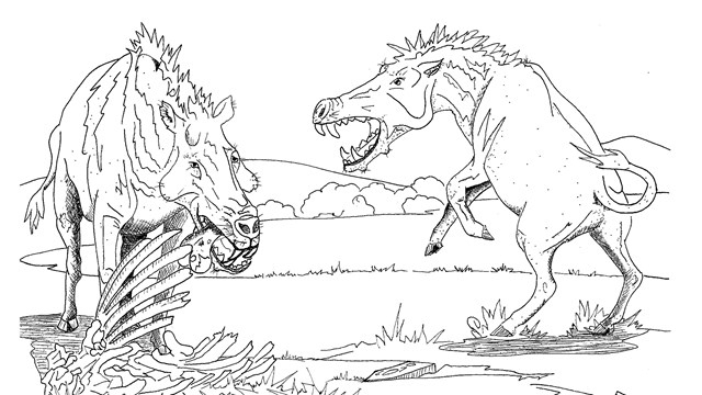 a black and white illustration of two large pig-like beast prance around each other in the mud