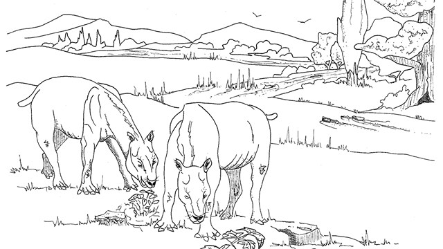 a black and white illustration of two herbivores browse on plants