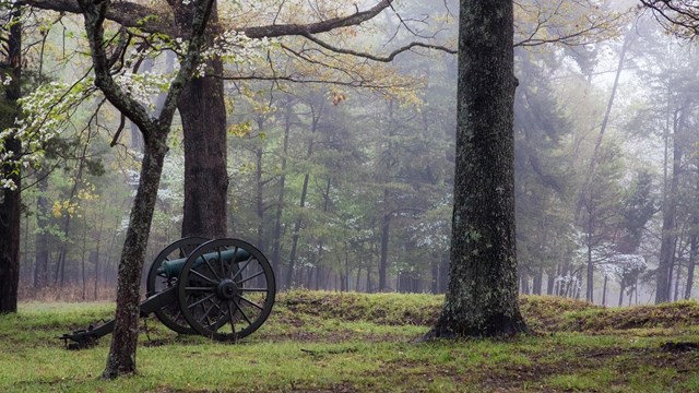 A cannon sitting in a field on a foggy morning.