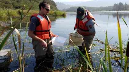 Dragonfly Mercury Data (U.S. National Park Service)