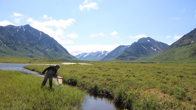 A scientist sits in yellow grass with field equipment. Lake and mountain in background.