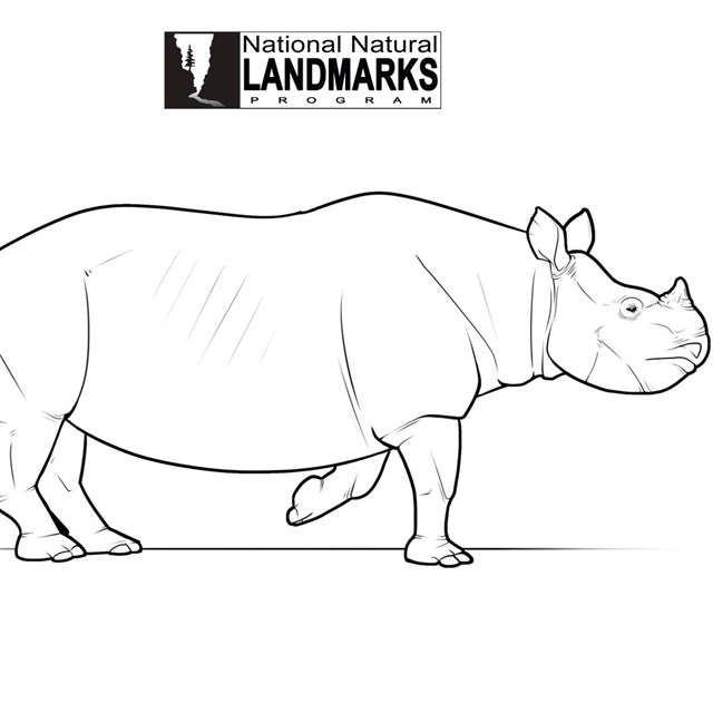 line drawing of ancient rhino
