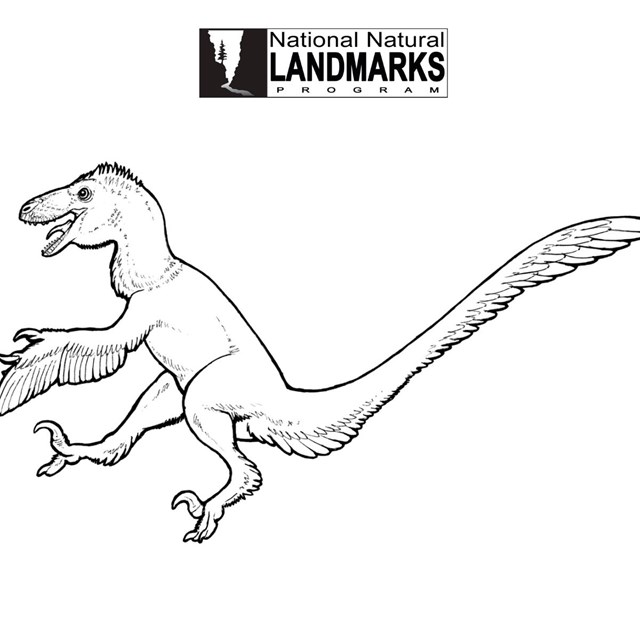 Line drawing of feathered dinosaur 