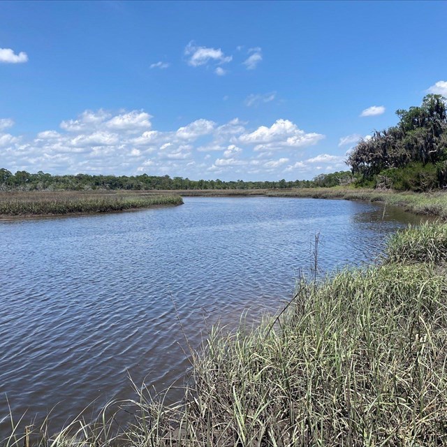 Marsh flowing under blue sky with tall grasses surrounding