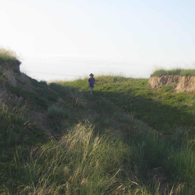 A person walks up a grass-covered ravine.