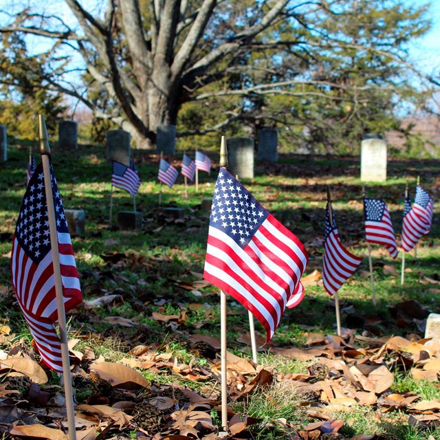 Small American flags planted in front of unnamed graves in a cemetery
