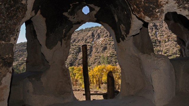 A view from the inside of a cavate that looks onto golden trees.