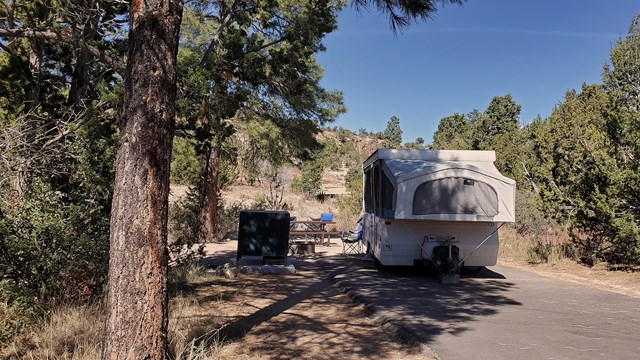 a trailer sits in a campsite surrounded by trees