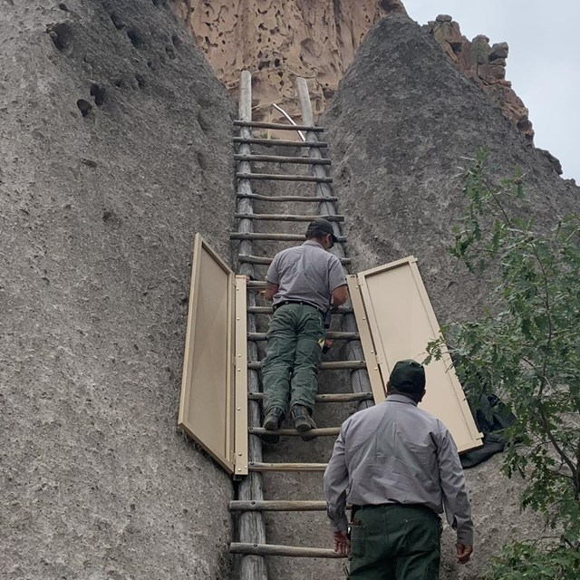 Two men working on a ladder.