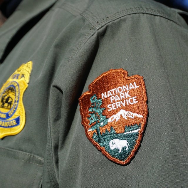 A photograph of a yellow, white, and green arrowhead patch and a yellow law enforcement badge.