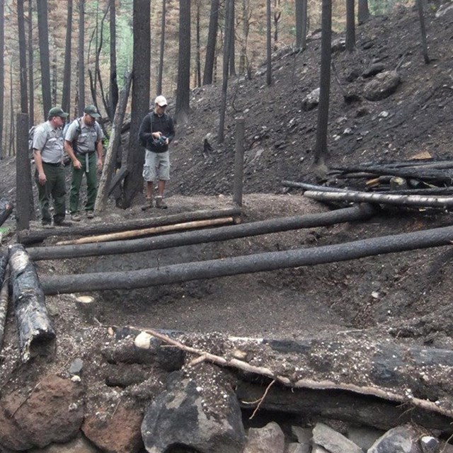 A group of people look at a large burn area. 