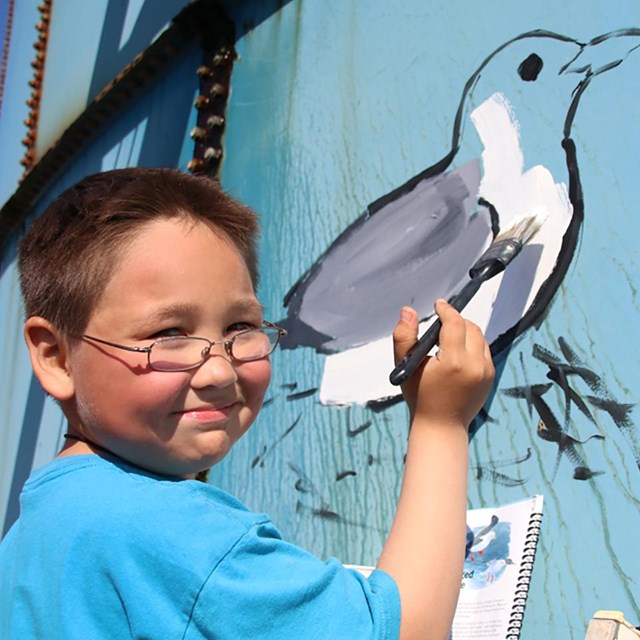 learn about youth seabird network