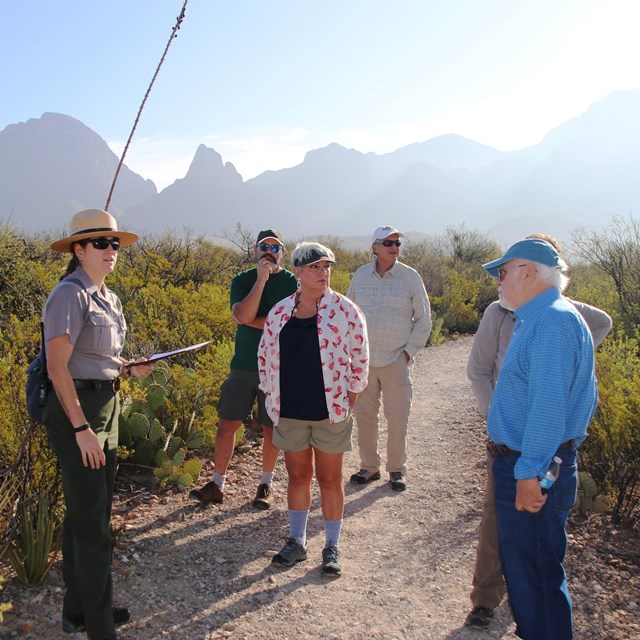 Visitors enjoying a guided hike with a park ranger.