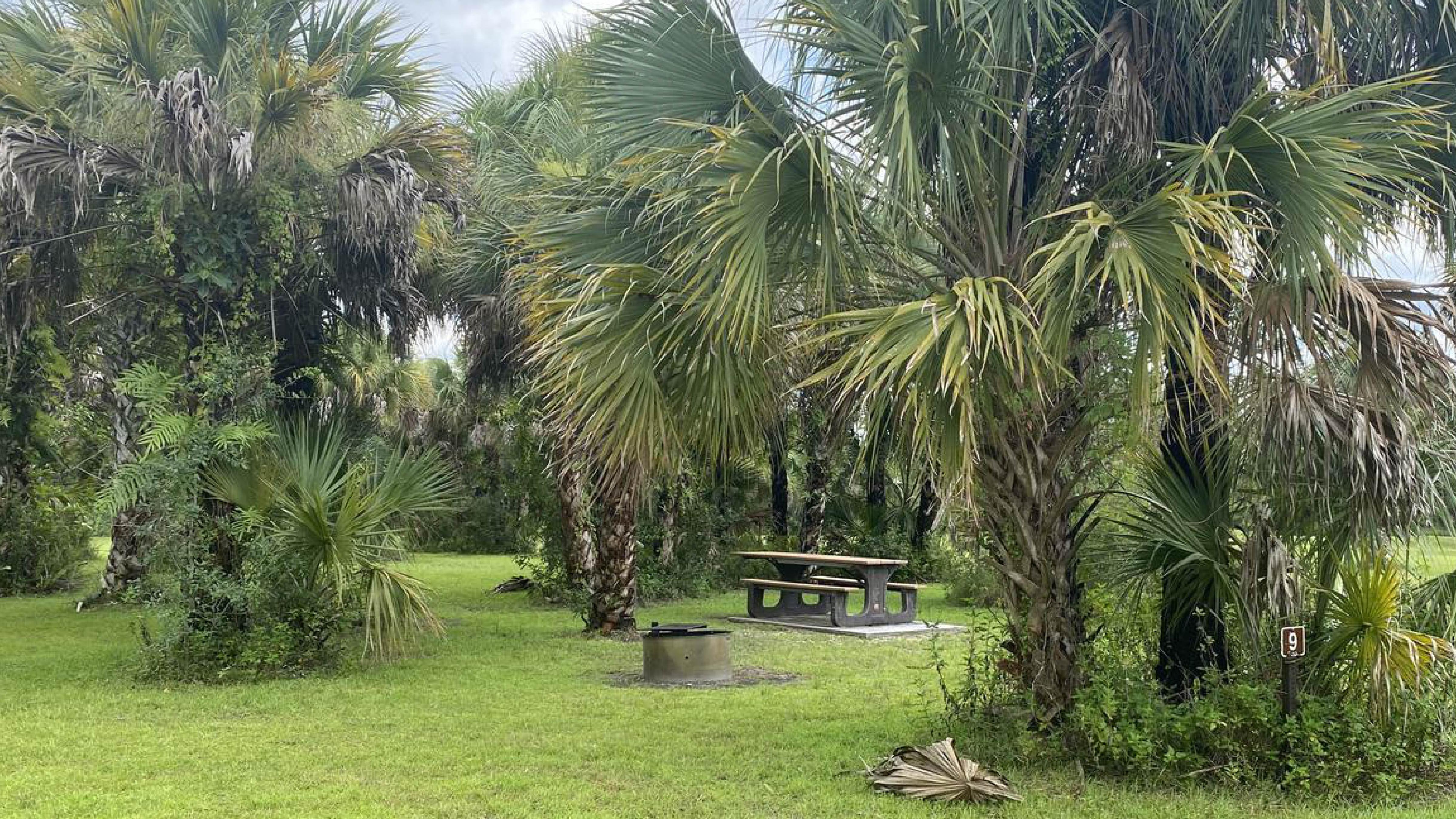 bear island campsite