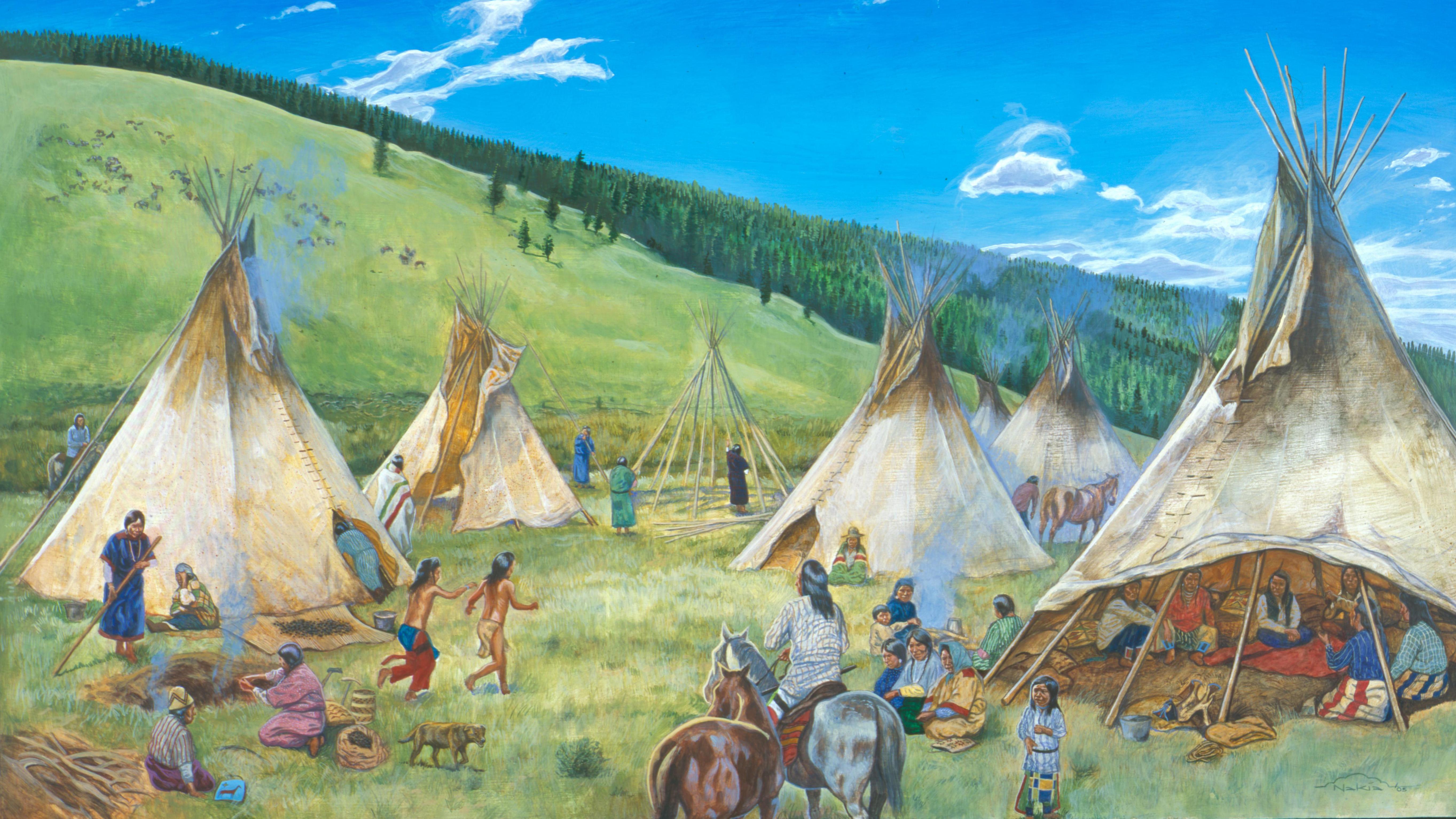 Several tipi poles in a meadow on a sunny day.
