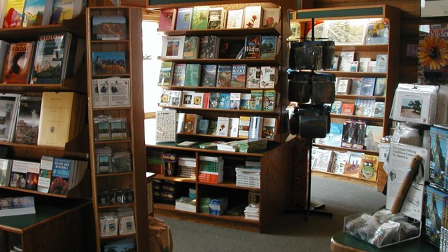 Wooden shelves with books and other materials inside a store