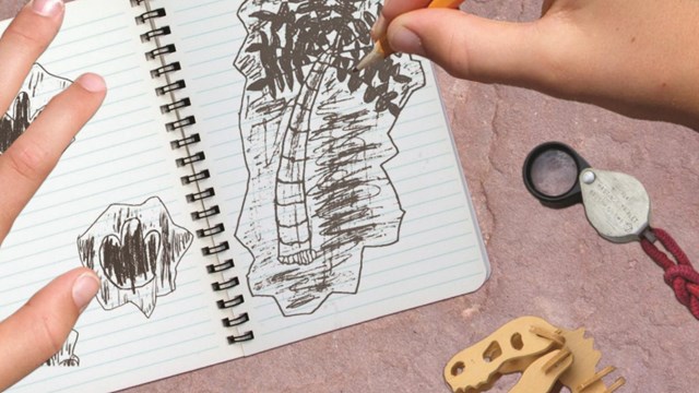 A person uses a pencil to draw a fossil in a booklet. Small items are next to the person's hand.