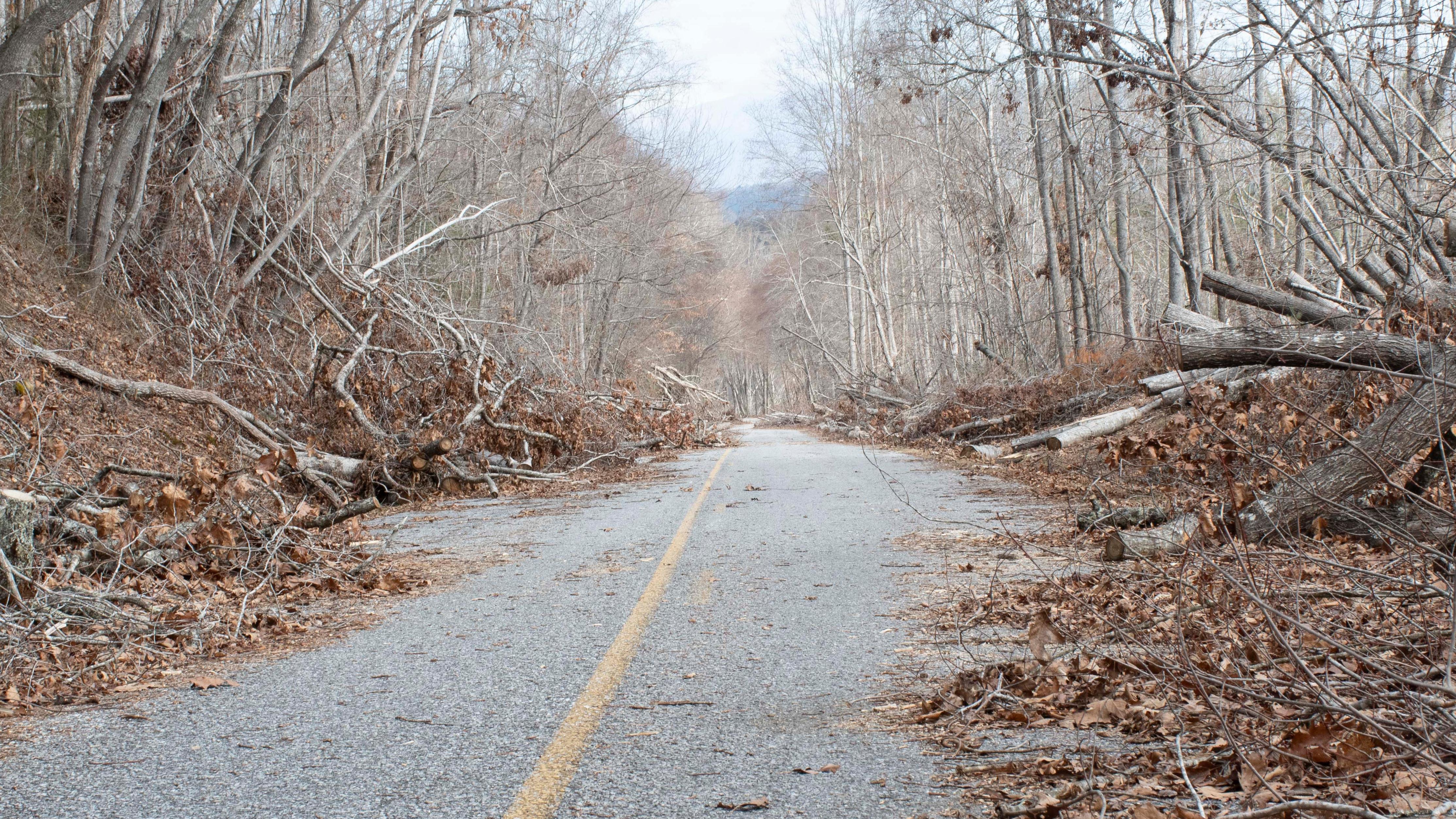 debris damage on the Parkway