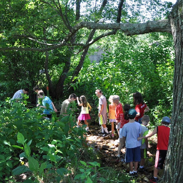 Children walking through a wooded area along a wooded path.