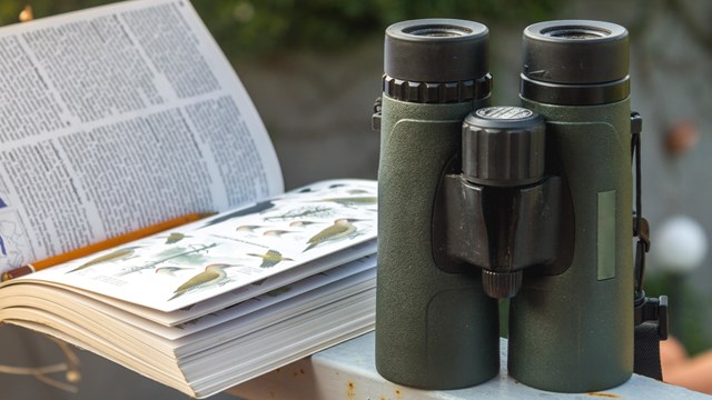 An open book and pari of binoculars. 