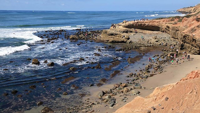  a coastal scene featuring rocky tidepools, sandy beach areas, and cliffs. People are present.