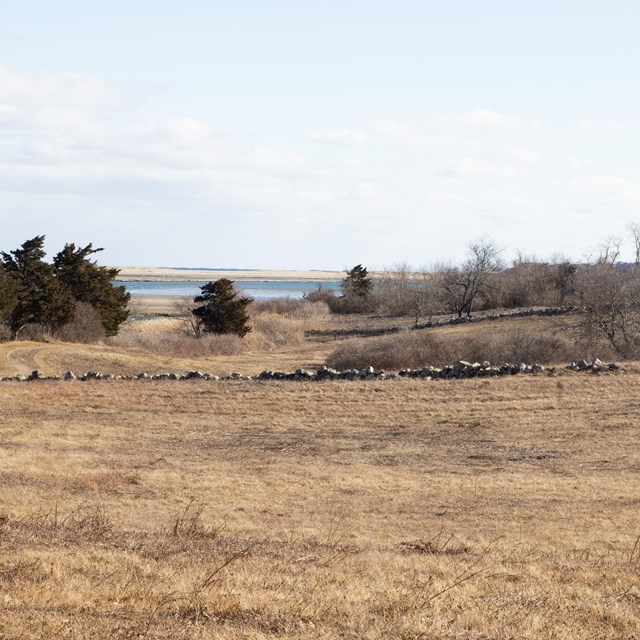 An image of a brown grassy hill with the ocean visible in the distance and a stone wall.