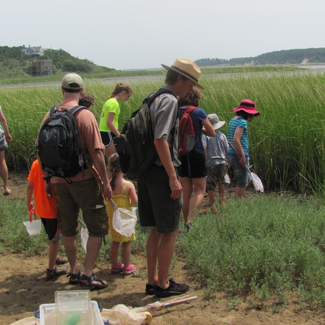 Explore, Hike, Paddle, Tour! Ranger programs are offered spring through fall. Join us!