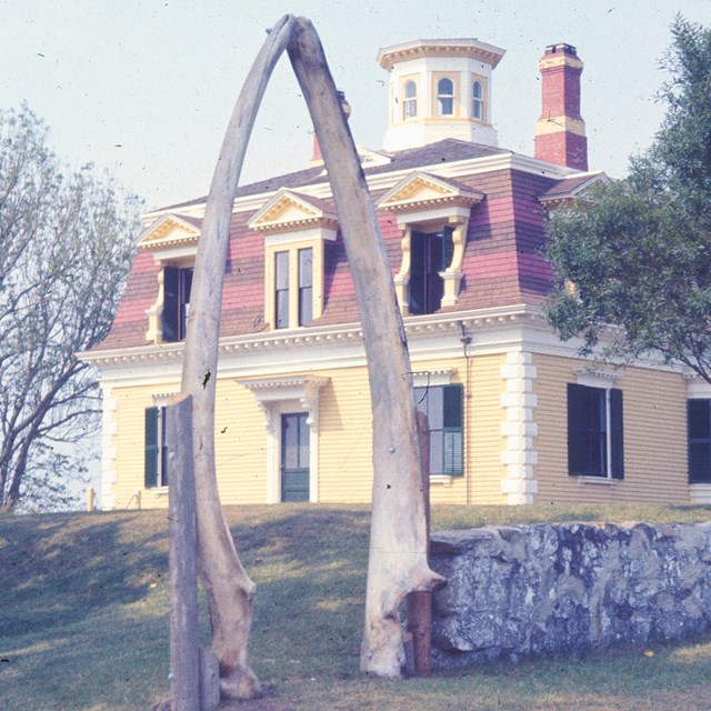 A red and yellow house and its yard is visible, including a whale bone arch.