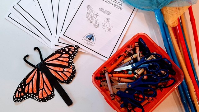 A table with coloring books, pencils, butterfly net, and model monarch butterfly. 
