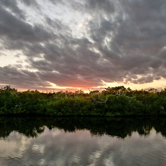 Calm water lined with mangroves during a cloudy sunset. NPS/Jane Gamble