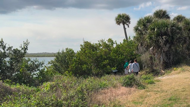 Turtle Mound