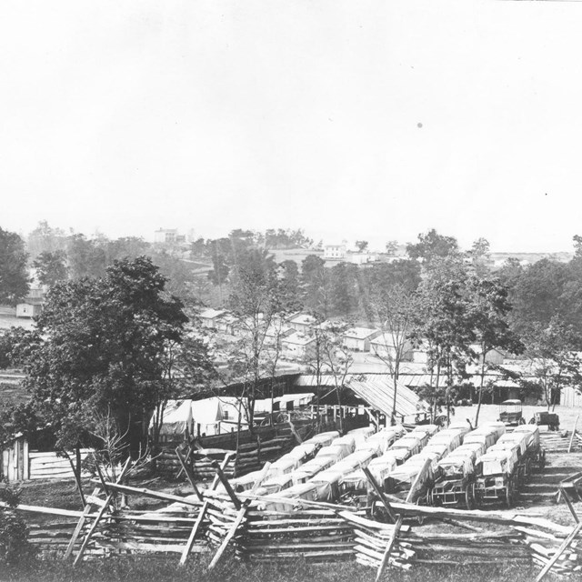 Ambulances, wooden fences, and buildings interspersed with many trees during the Civil War. 