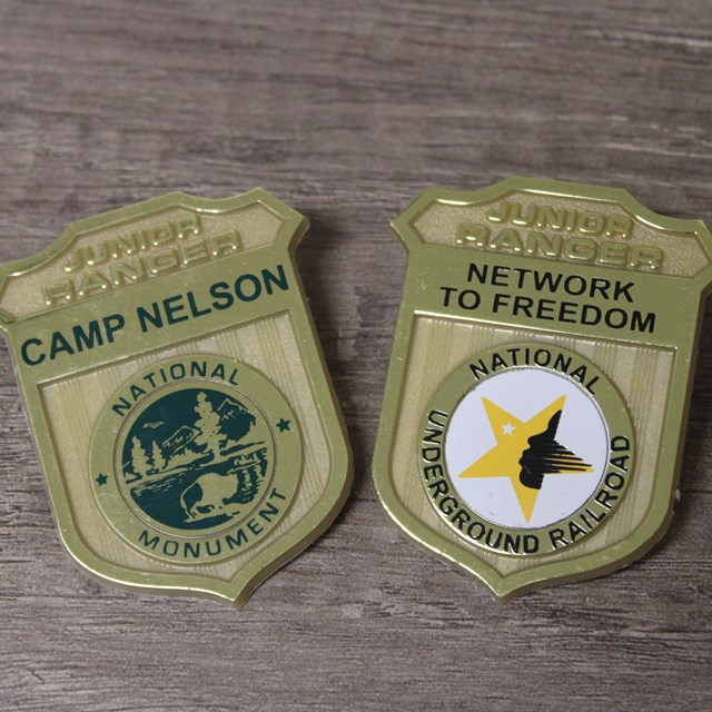Two, gold, Junior Ranger badges on a wooden surface. 