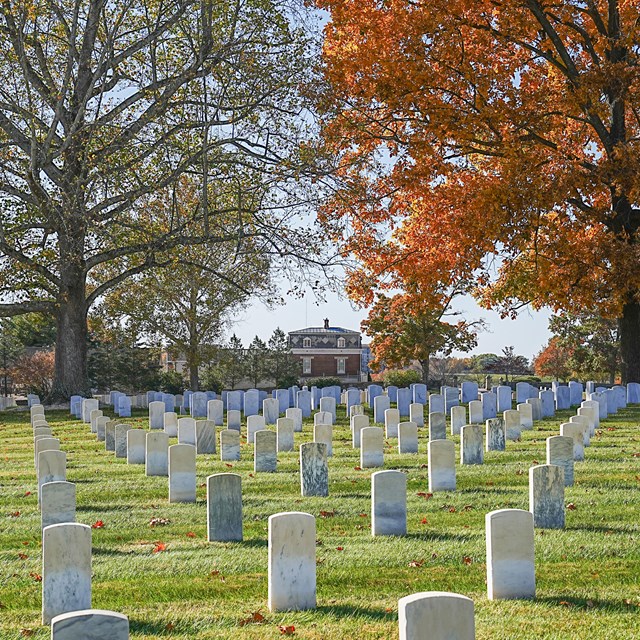 A cemetery with uniform, white headstones stretches to the horizon