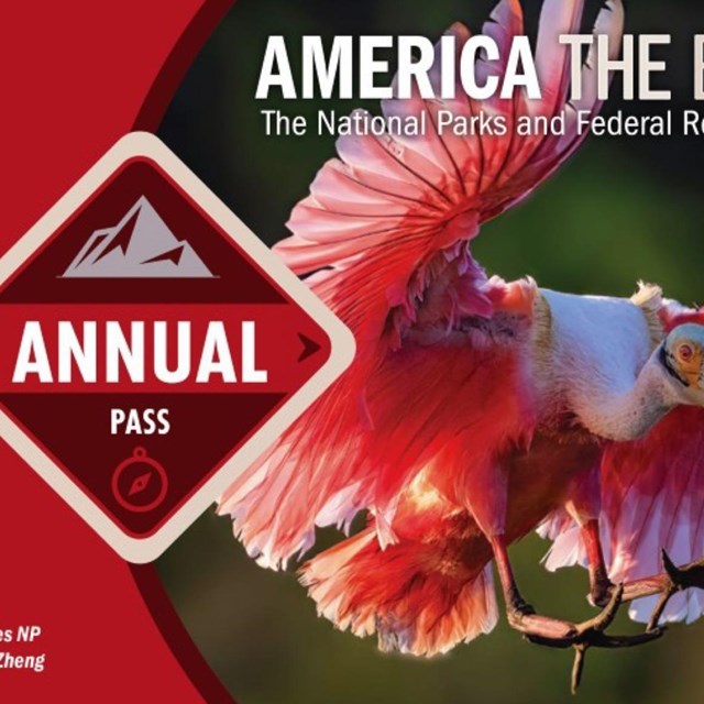 Annual America the Beautiful pass with Roseate Spoonbill on it.
