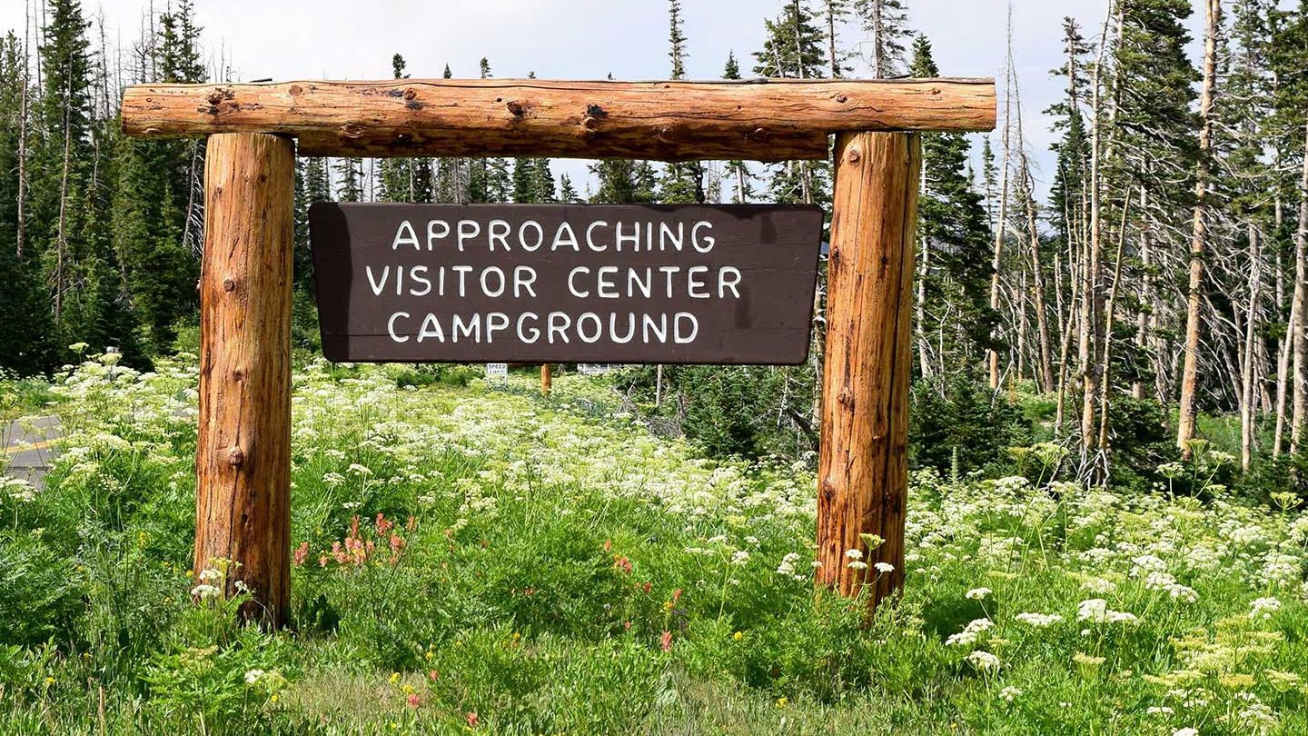 Wooden sign saying "approaching visitors center and campground" surrounded by wildflowers & trees. 