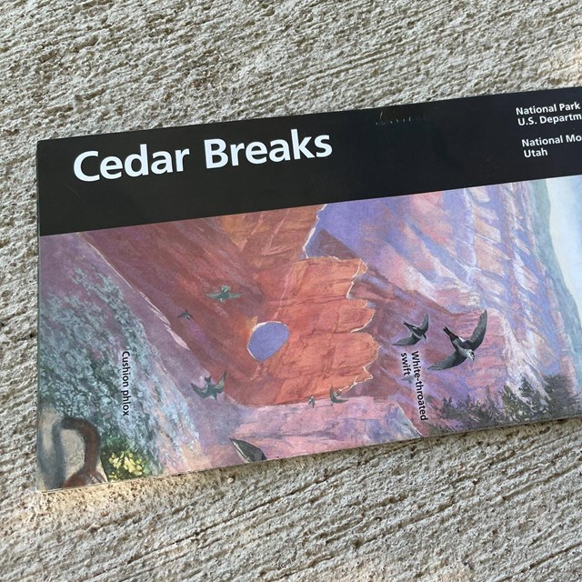 Cedar Breaks brochure