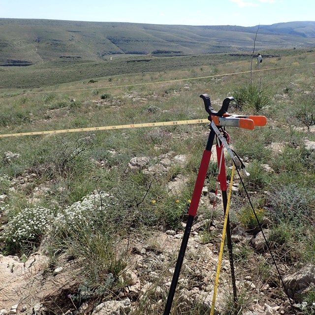 Vegetation survey equipment at Big Bend National Park