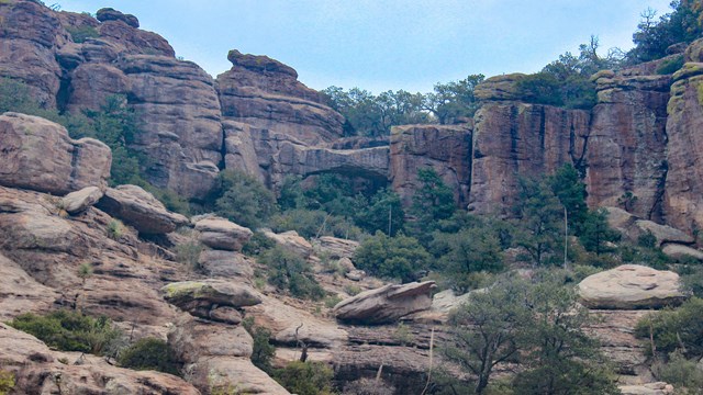 rocks and trees with a small bridge in the distance