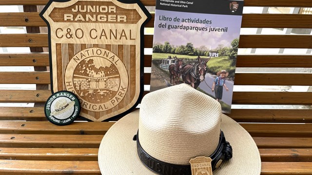 Placa de guardaparque juvenil, libro, parche y sombrero del guardaparque