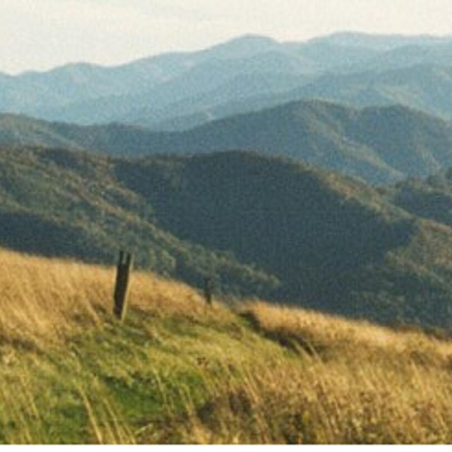 View of mountain ridge line in Max Patch, North Carolina