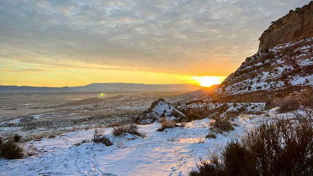 Missouri Pincushion - Colorado National Monument (U.S. National Park  Service)