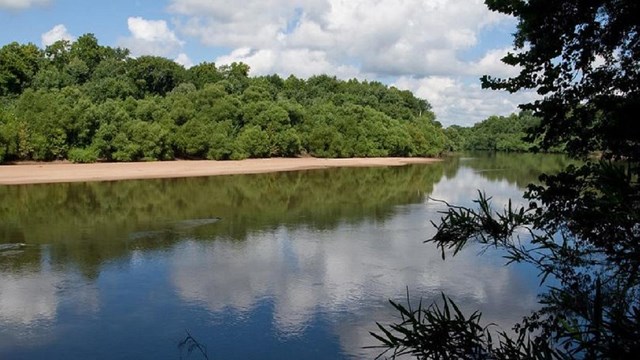 Image of the Congaree River